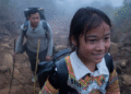 World Day Against Child Labour being marked