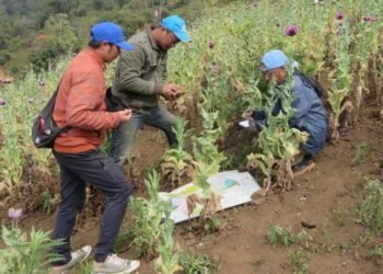 Int’l Day against Drug Abuse and Illicit Trafficking being marked