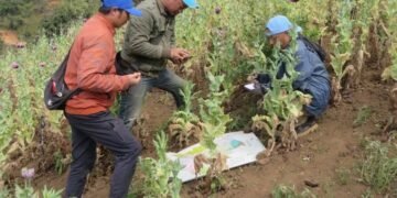 Int’l Day against Drug Abuse and Illicit Trafficking being marked