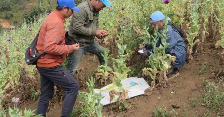 Int’l Day against Drug Abuse and Illicit Trafficking being marked