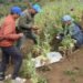 Int’l Day against Drug Abuse and Illicit Trafficking being marked