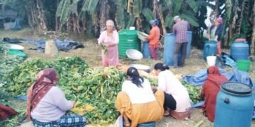 Rural women taste economic benefits of ‘gundruk’