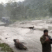 Road to Ghandruk closed due to Modikhola erosion