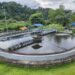 Guheshwori Wastewater Treatment Plant processes 32.4 million litres water daily