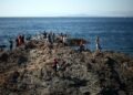 At least 72 died in Spain’s Ceuta migrant rush