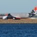 Australian airline Jetstar will charge passengers to use the overhead lockers for their bags