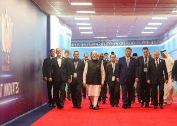 China, Russia, India seek economic cooperation at BRICS