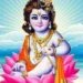 Shree Krishna Janmastami festival being marked today
